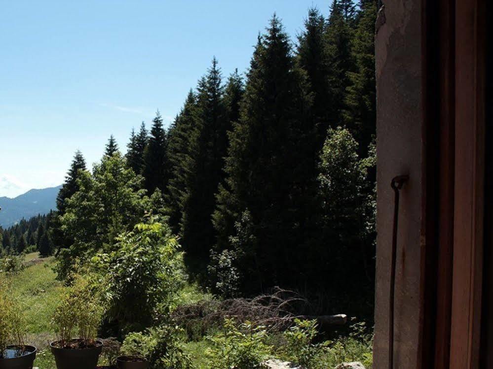 Les Ateliers Du Cucheron Saint-Pierre-de-Chartreuse Dış mekan fotoğraf